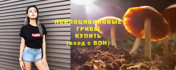 МДПВ Заводоуковск