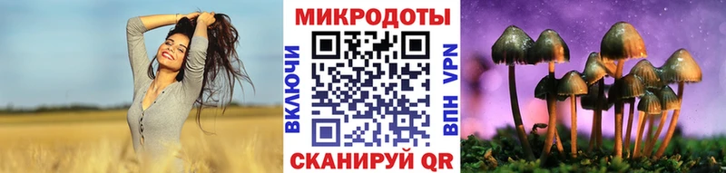 Псилоцибиновые грибы MAGIC MUSHROOMS  Купить закладки  Шумиха 