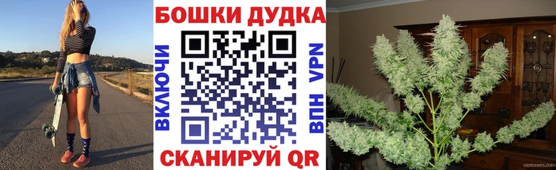 Бошки марихуана Ganja Шумиха